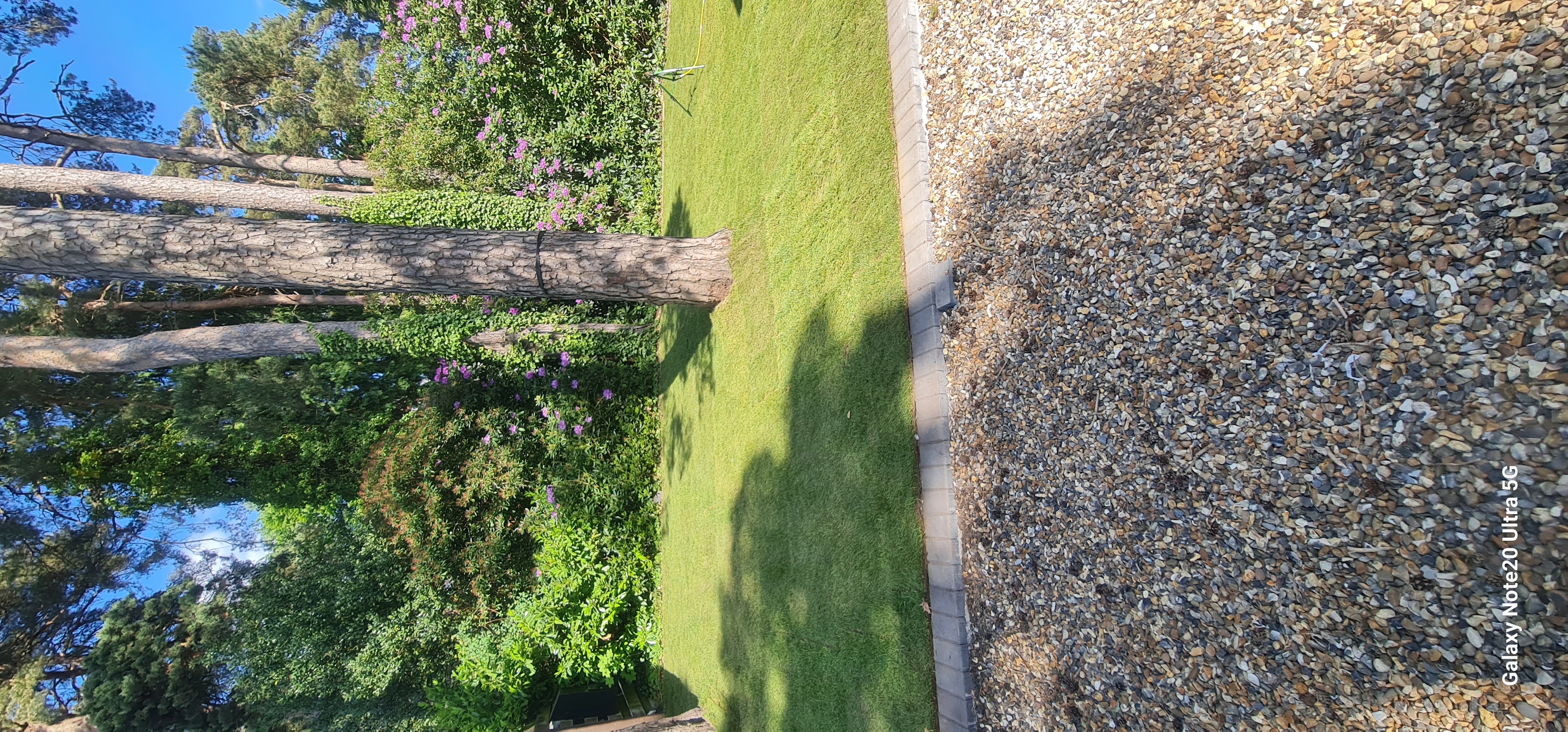 Electric Gate Wiring